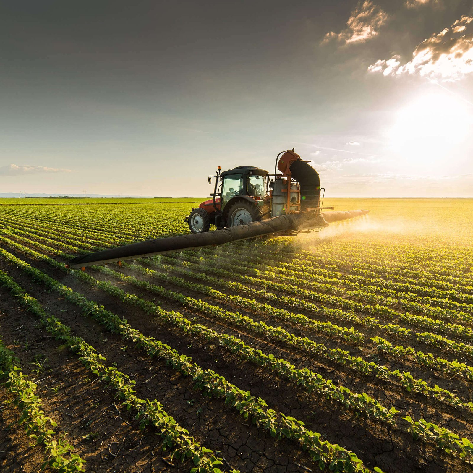 Natural way of agriculture