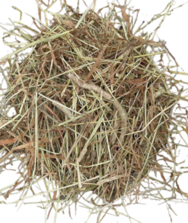 Premium Timothy Hay Box ‘Long-Stem’