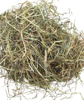 Premium Timothy Hay Box ‘Soft Cut’