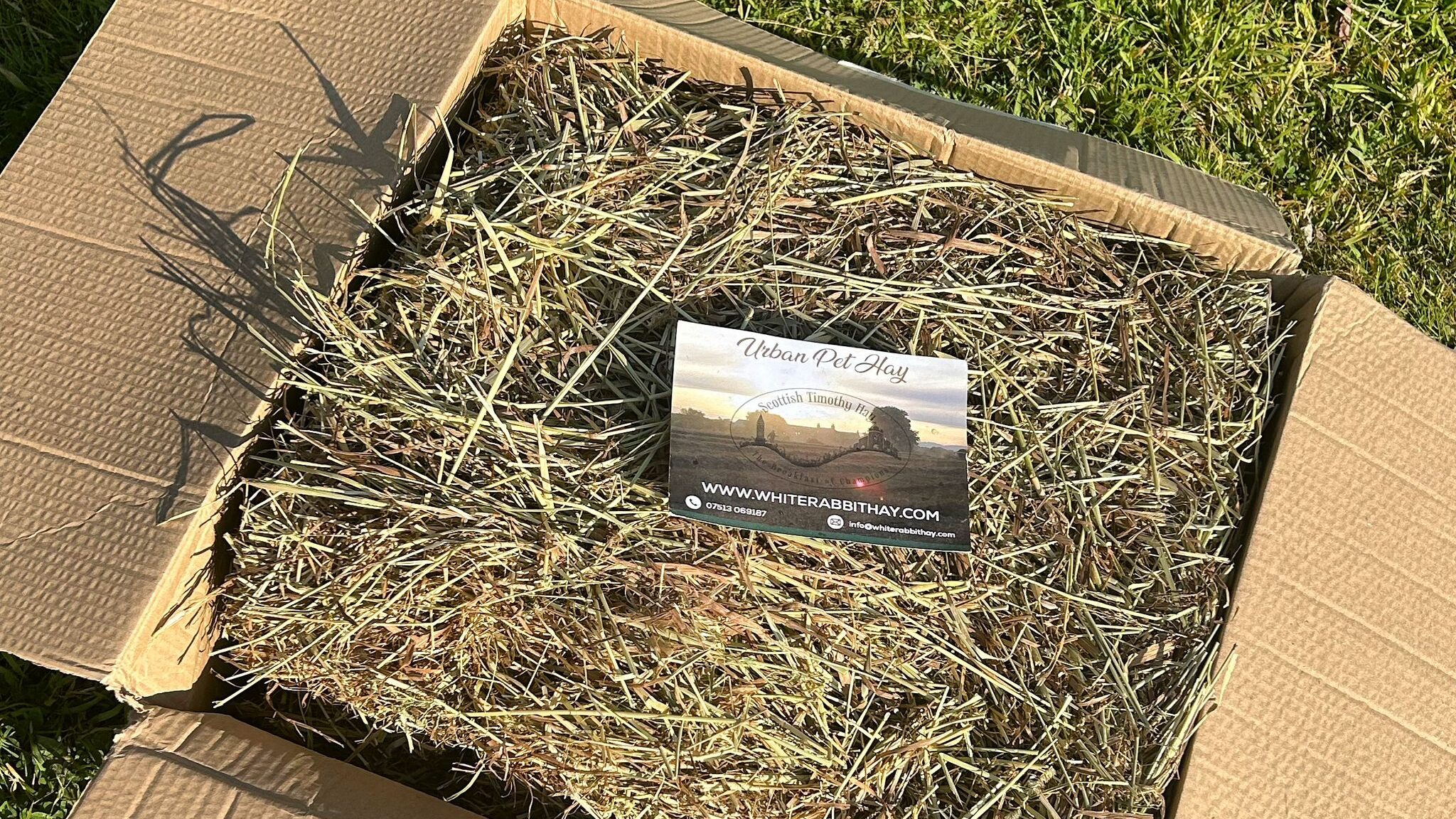 Why Hay Is Important For Digestive Health