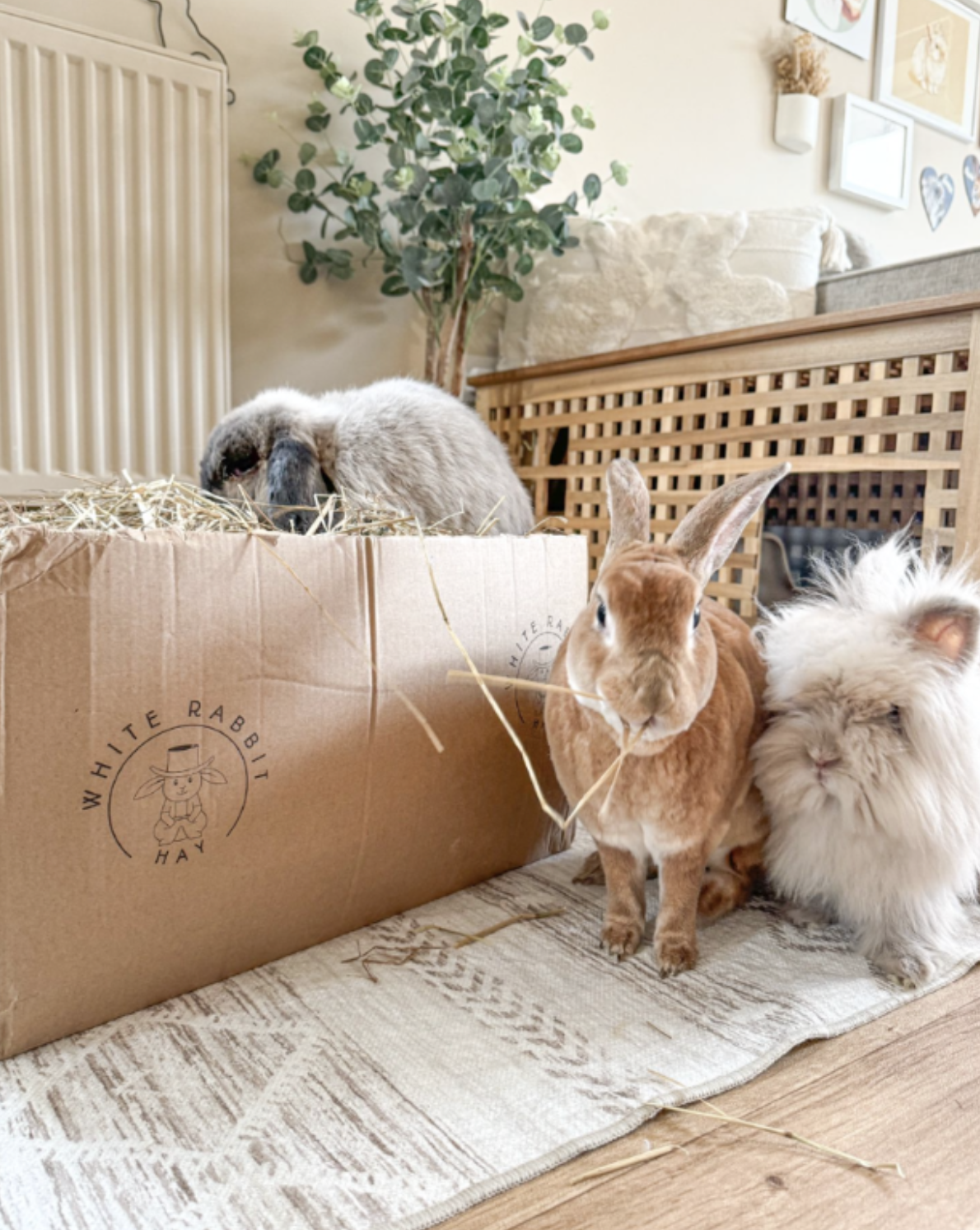 Happier With Hay