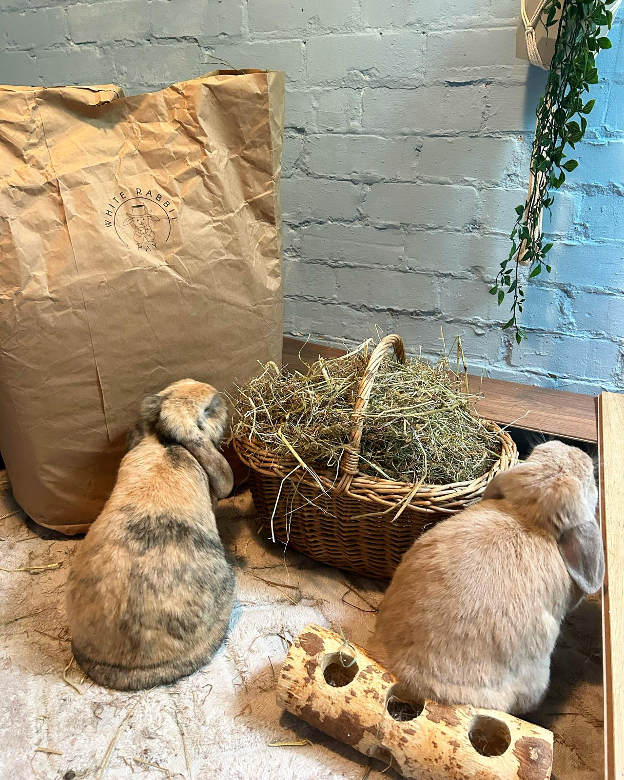 Meadow Hay: The Smell Of Summer